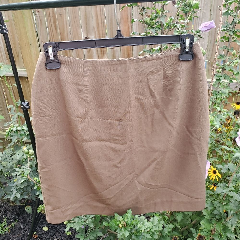Brown Skirt 